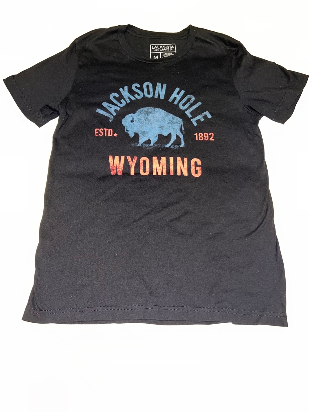 LALA SISTA Size M Black "Jackson Hole Wyoming" Buffalo Bison Graphic Tee